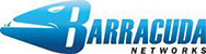 Barracuda VPN Win32 Client Remote Support